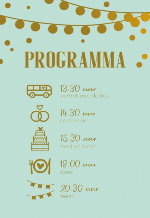 Programmakaart - Festivallampjes Mint