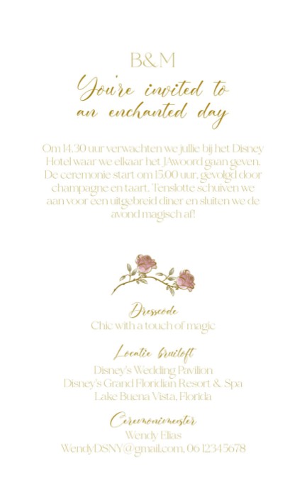 Belle en het beest Folie trouwkaart achter