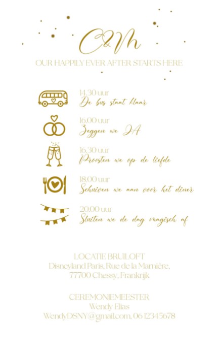 Disney Inspired FOLIE trouwkaart kasteel voor