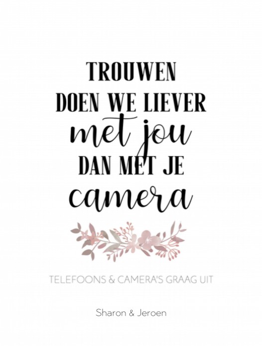 Poster 30x40 - Boho Roze Unplugged 2