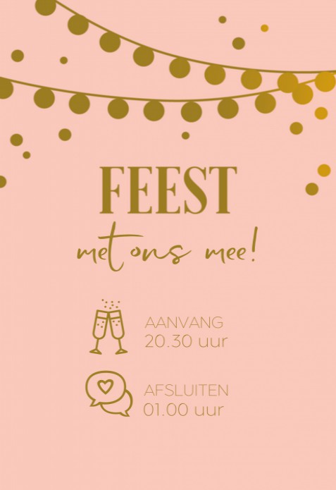 Programmakaart - Feest Festivalllampjes Roze