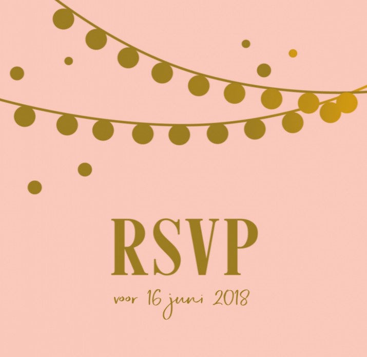 RSVP Glitters en Goud Lampjes Roze