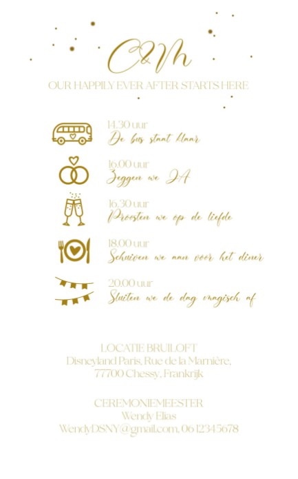 Disney Inspired trouwkaart kasteel achter